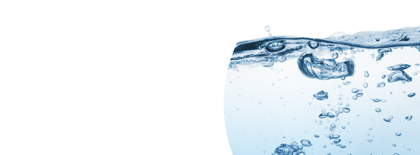 Intershop Customer Brita